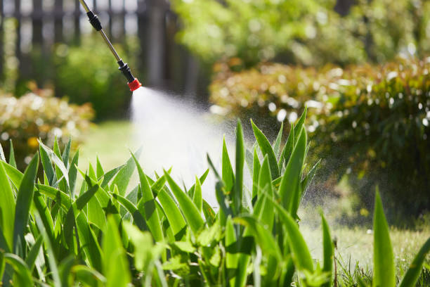 24/7 Emergency Mosquito Control experts in Sugar Grove, IL